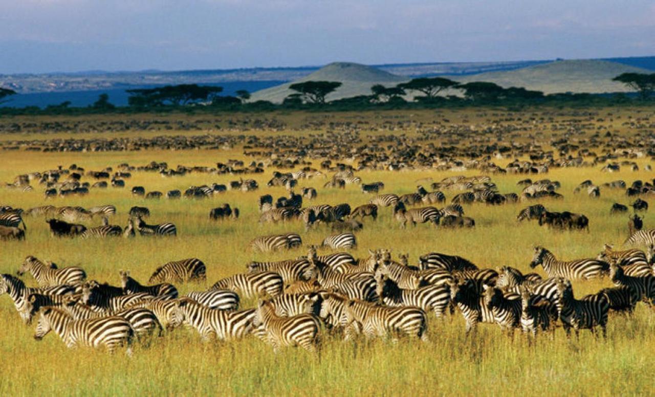 Walabi Mara Hotel Narok Zewnętrze zdjęcie